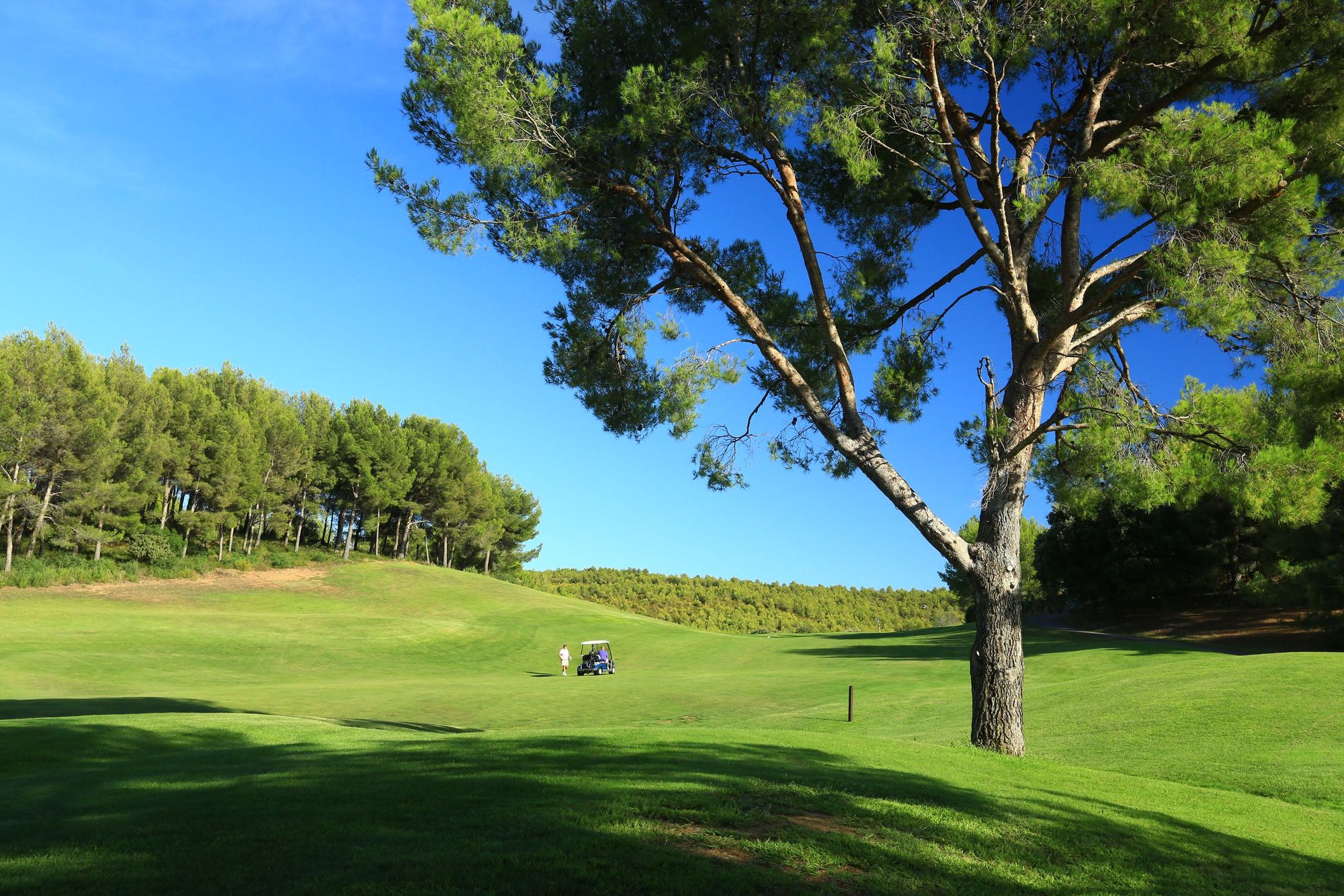 Golf Frégate Provence