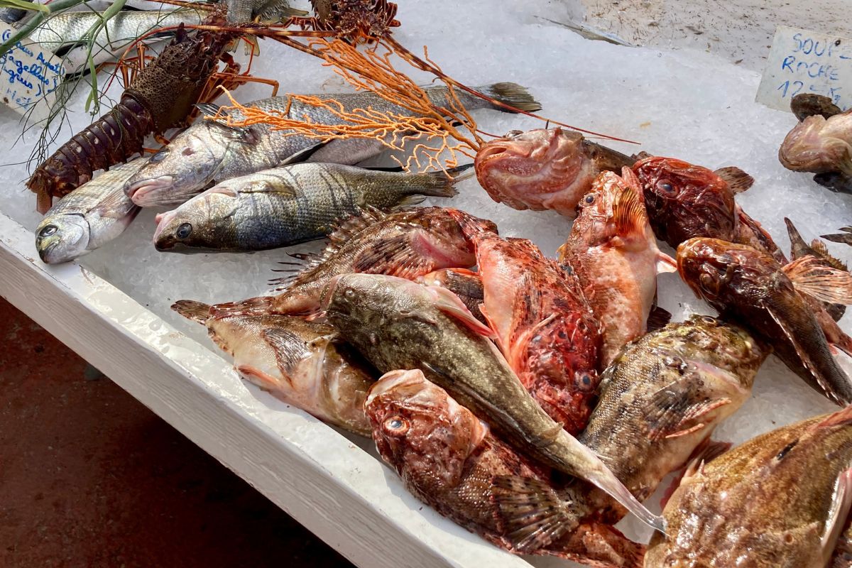 Marché hebdomadaire Bandol