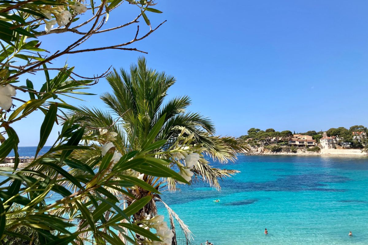 Plage Renecros Bandol