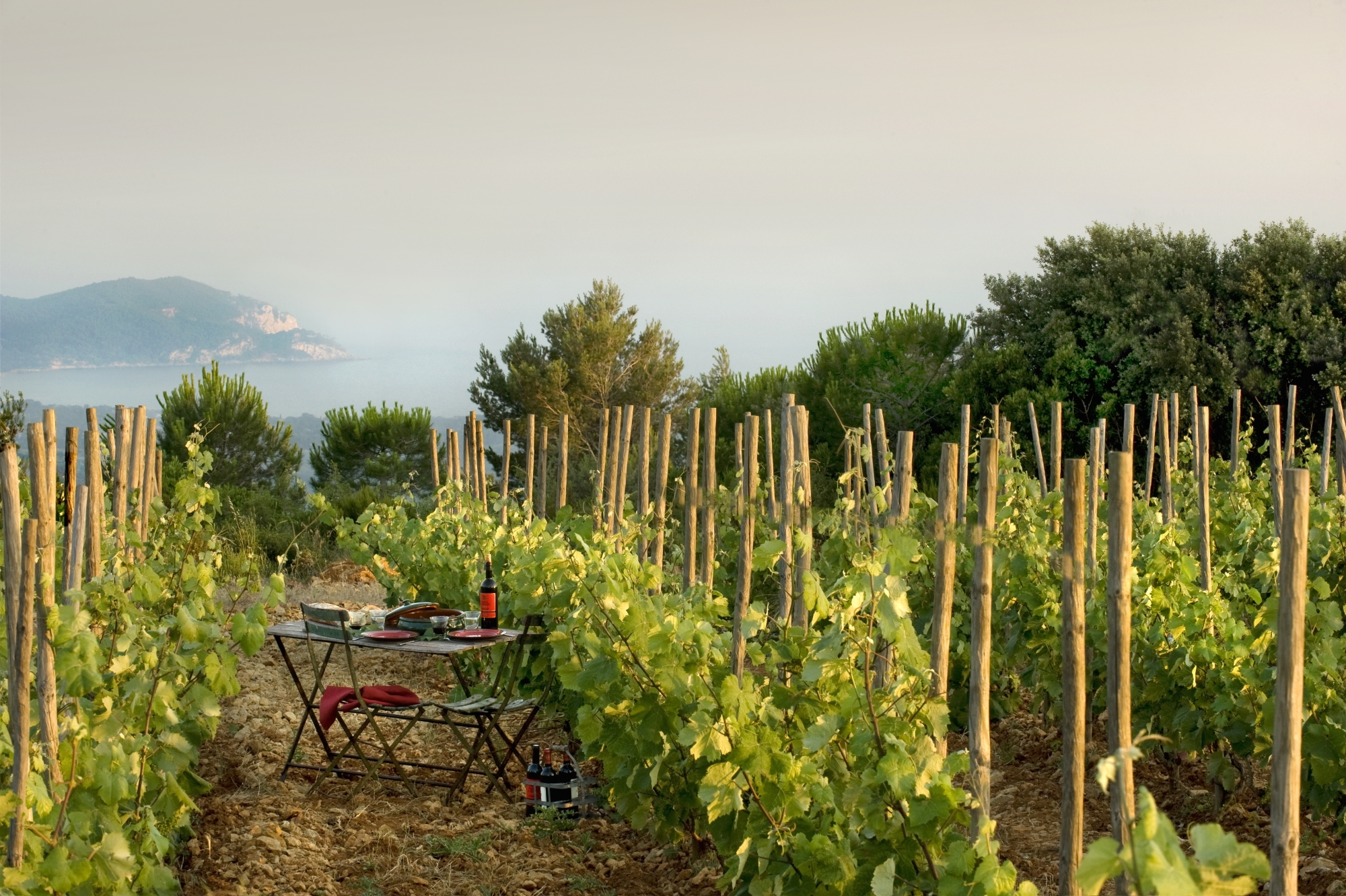 Domaine de La Bégude