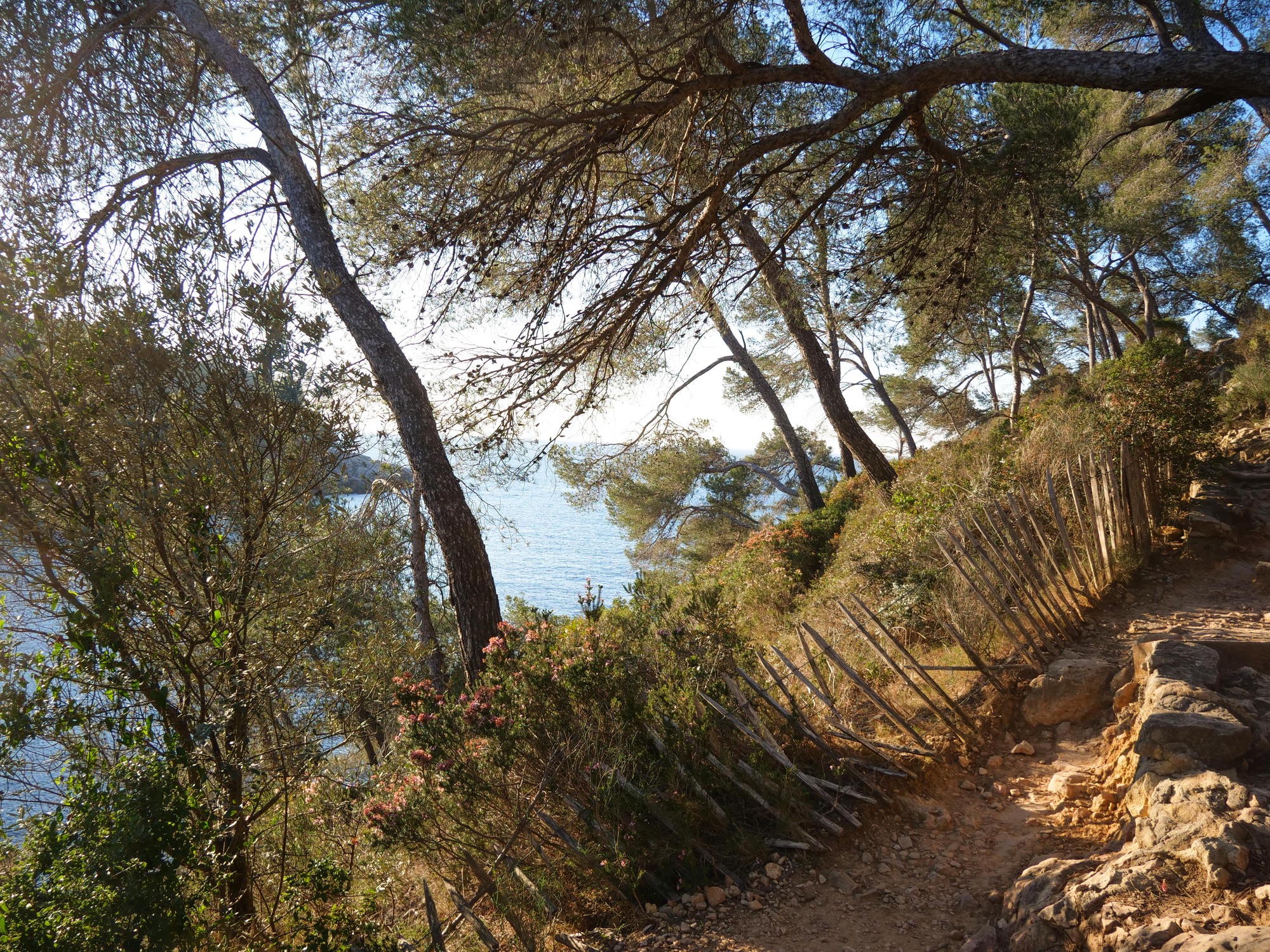 Le Sentier du littoral entre Port d’Alon et la Pointe Fauconnière