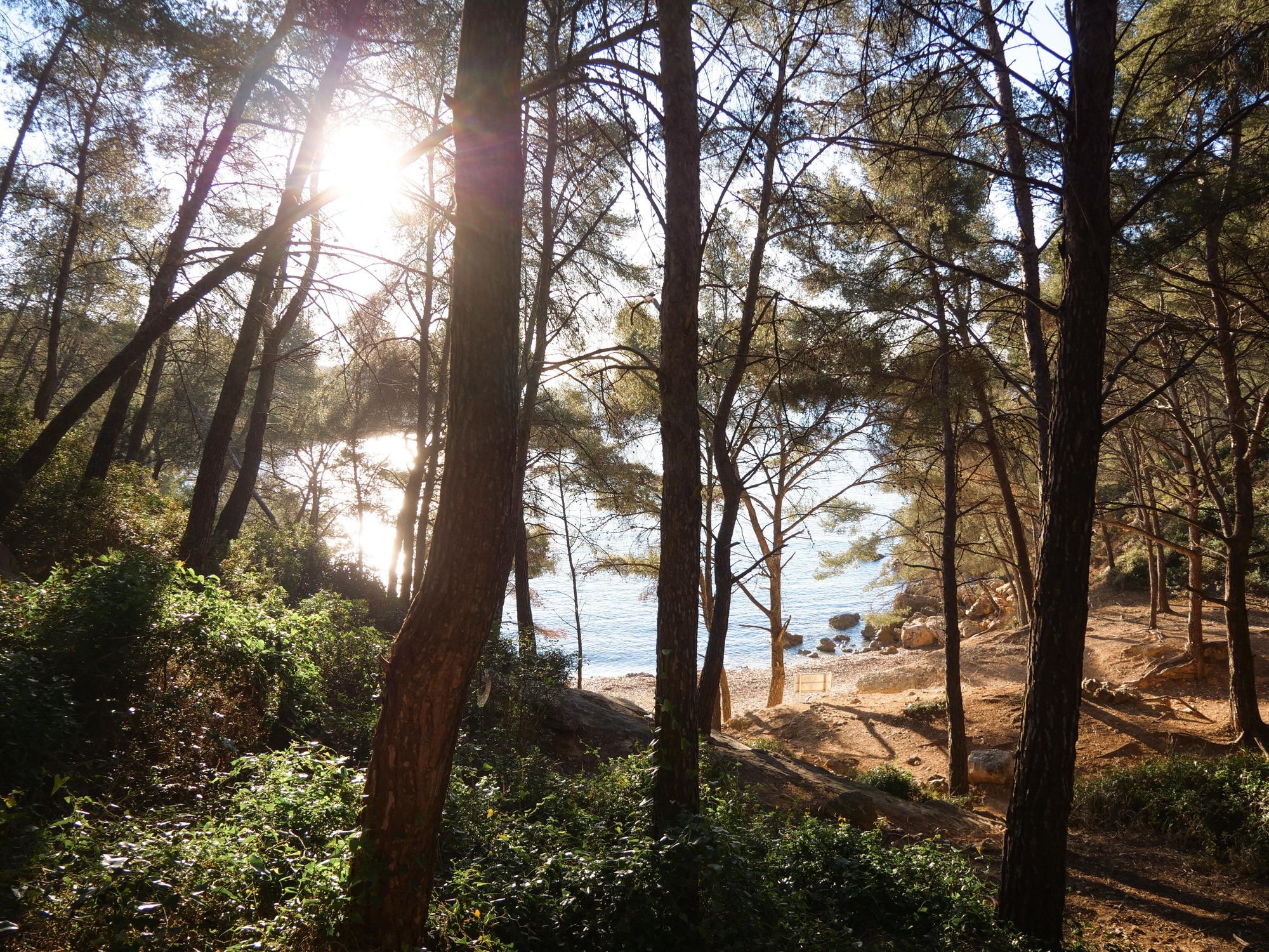 Le Sentier du littoral entre Port d’Alon et la Pointe Fauconnière