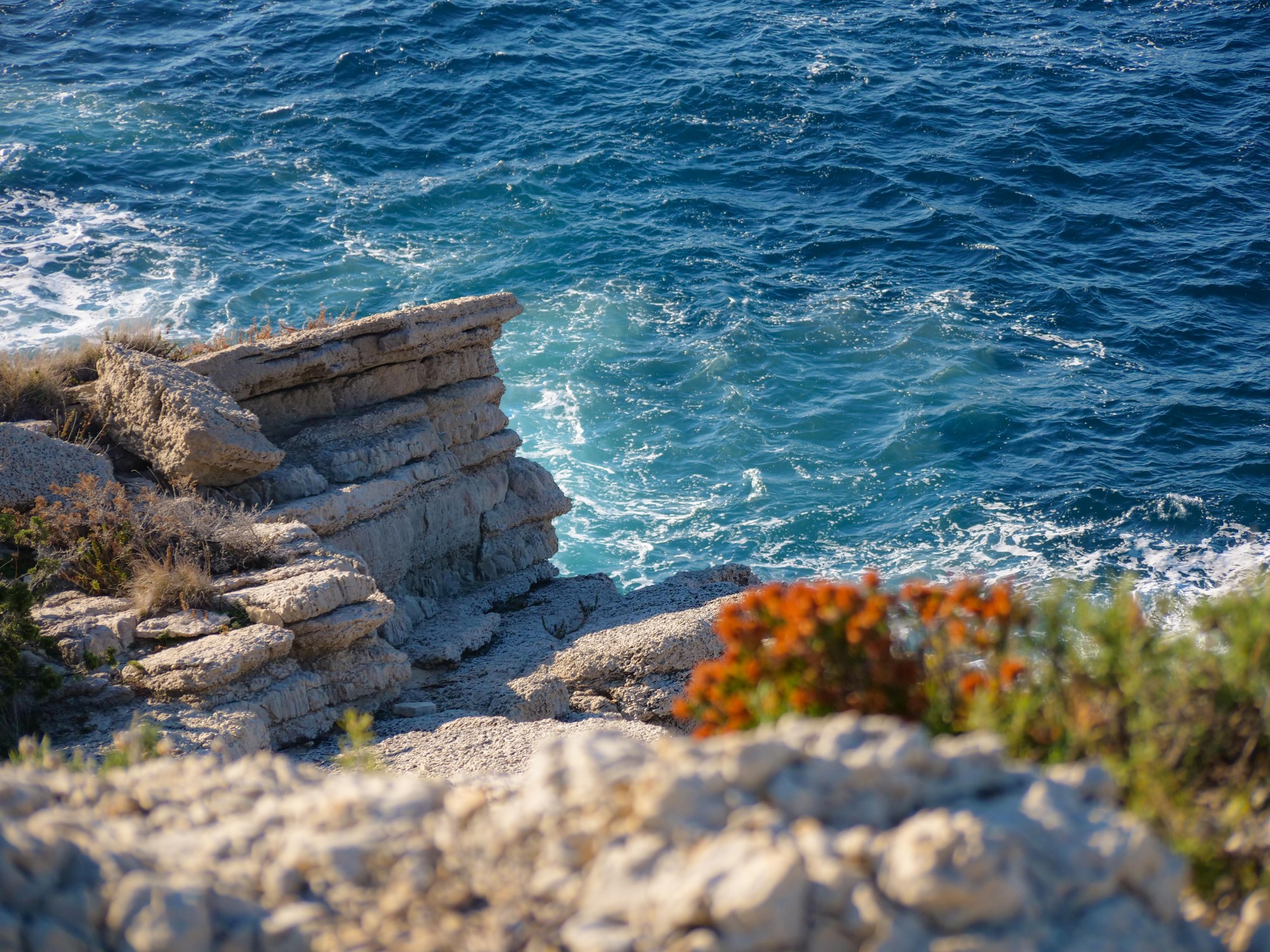 Le Sentier du littoral entre Port d’Alon et la Pointe Fauconnière