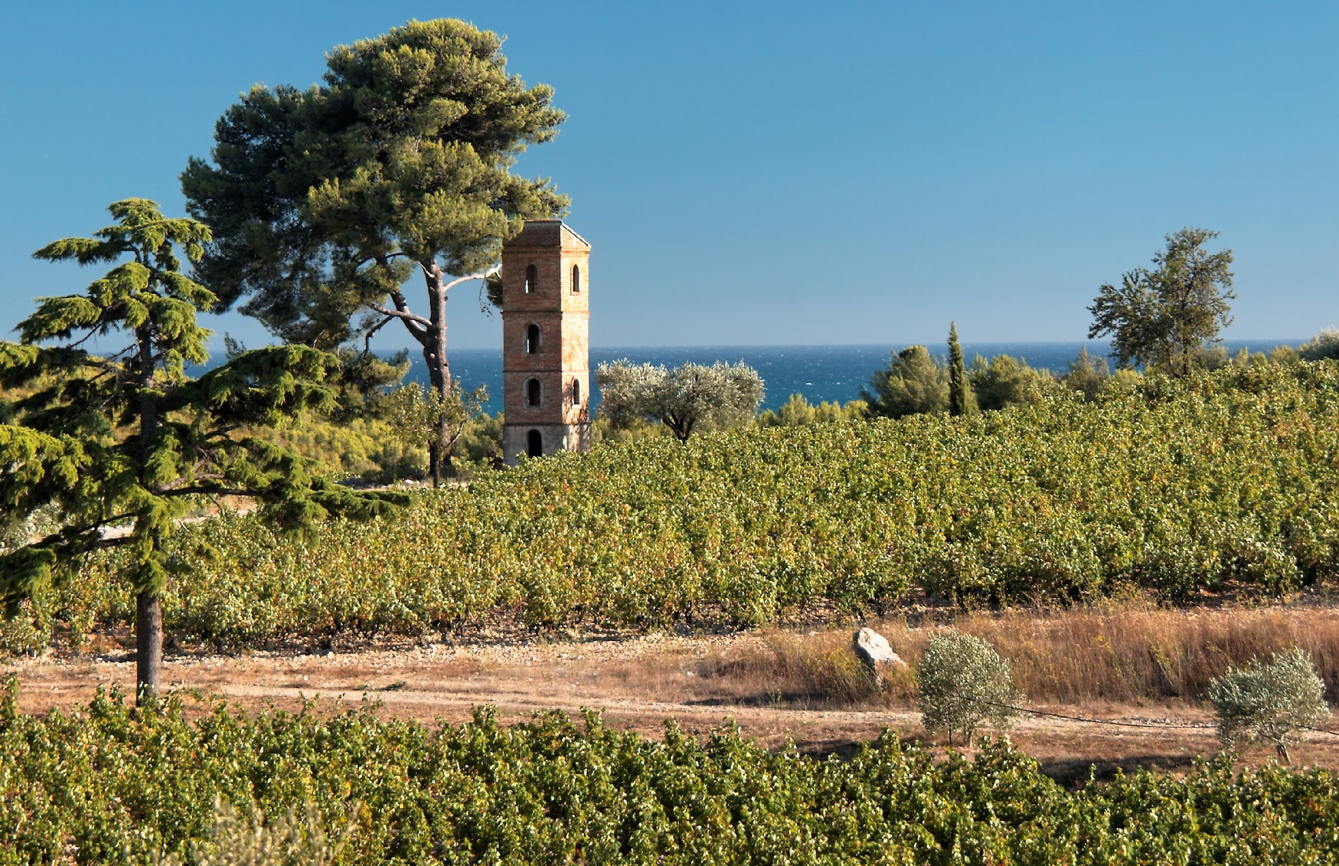 Domaine de Frégate