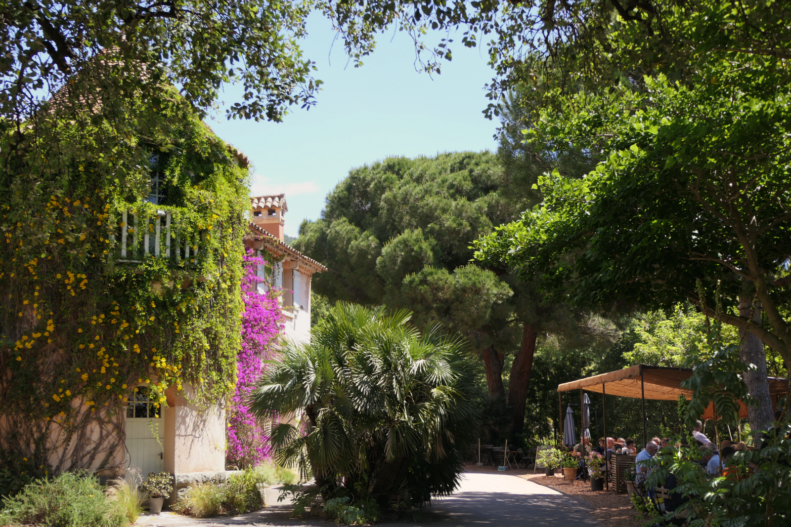 Domaine du Rayol, Le Café des Jardiniers