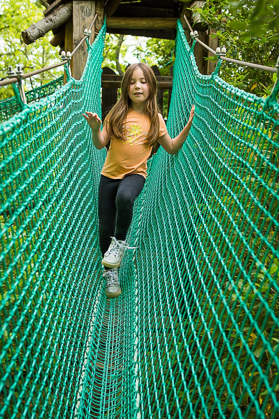 Les filets de la découverte du Parc Aoubré