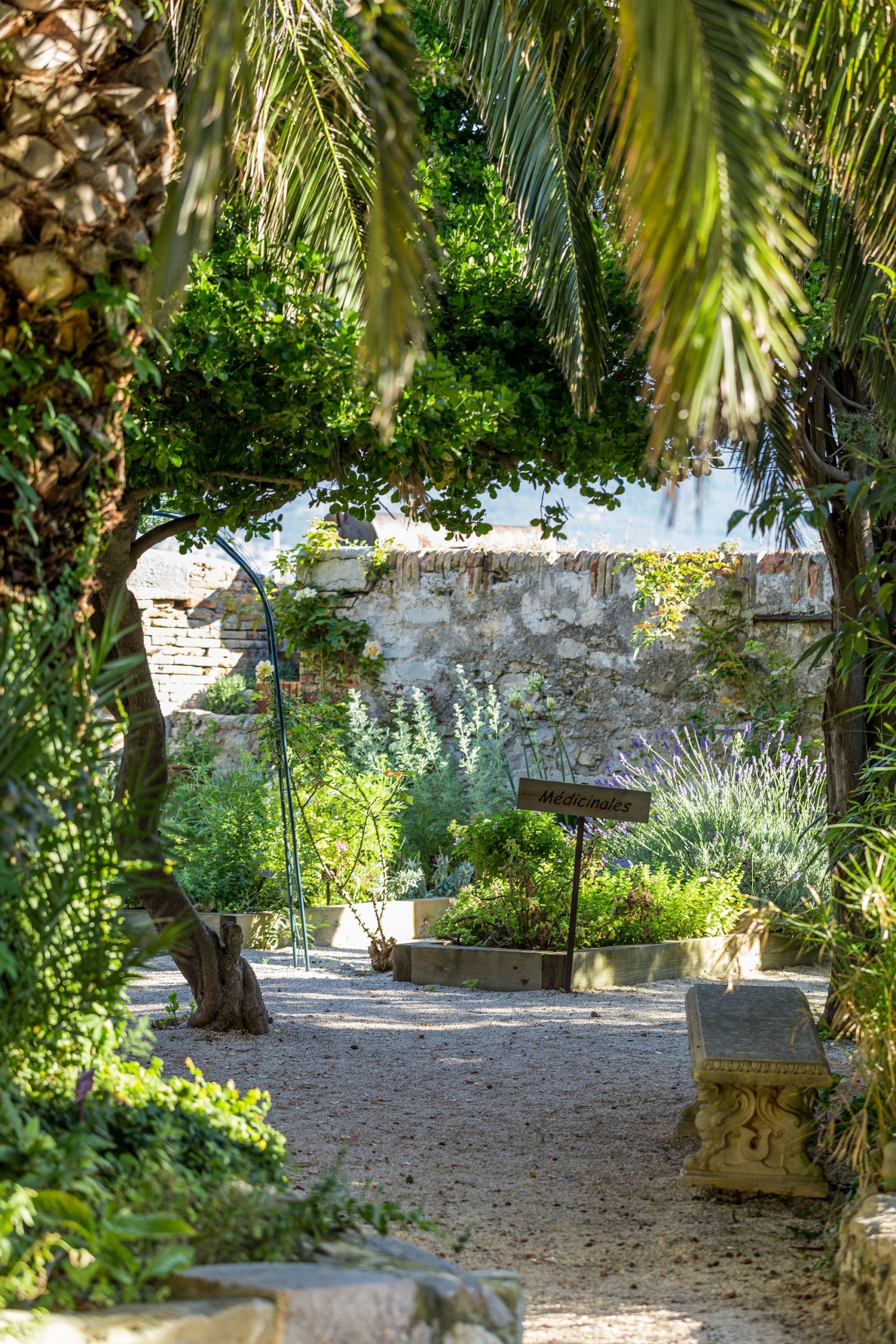 Jardin botanique du Musée Balaguier