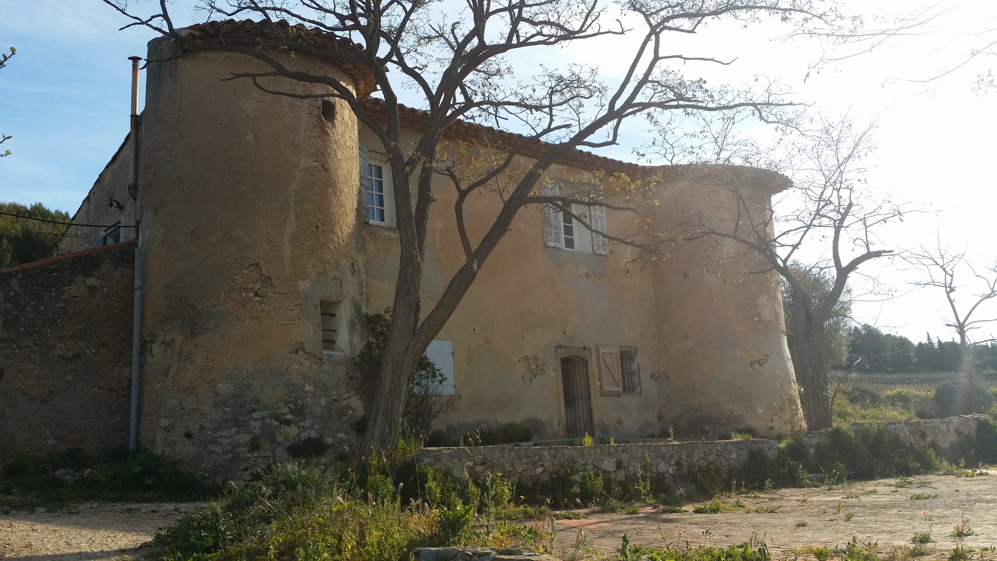 Le sentier des vignes