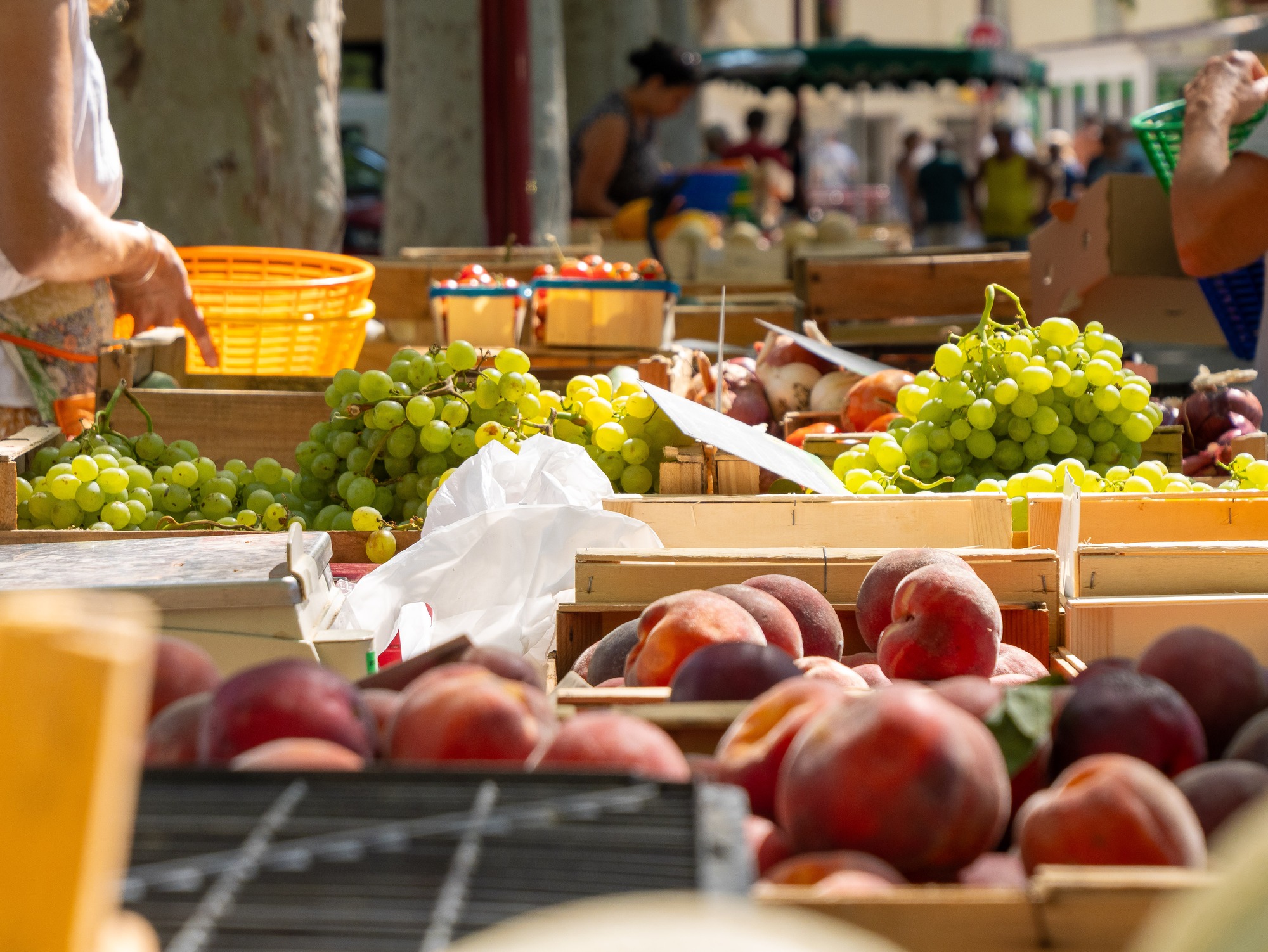 Marché des producteurs_Saint-Cyr-sur-Mer