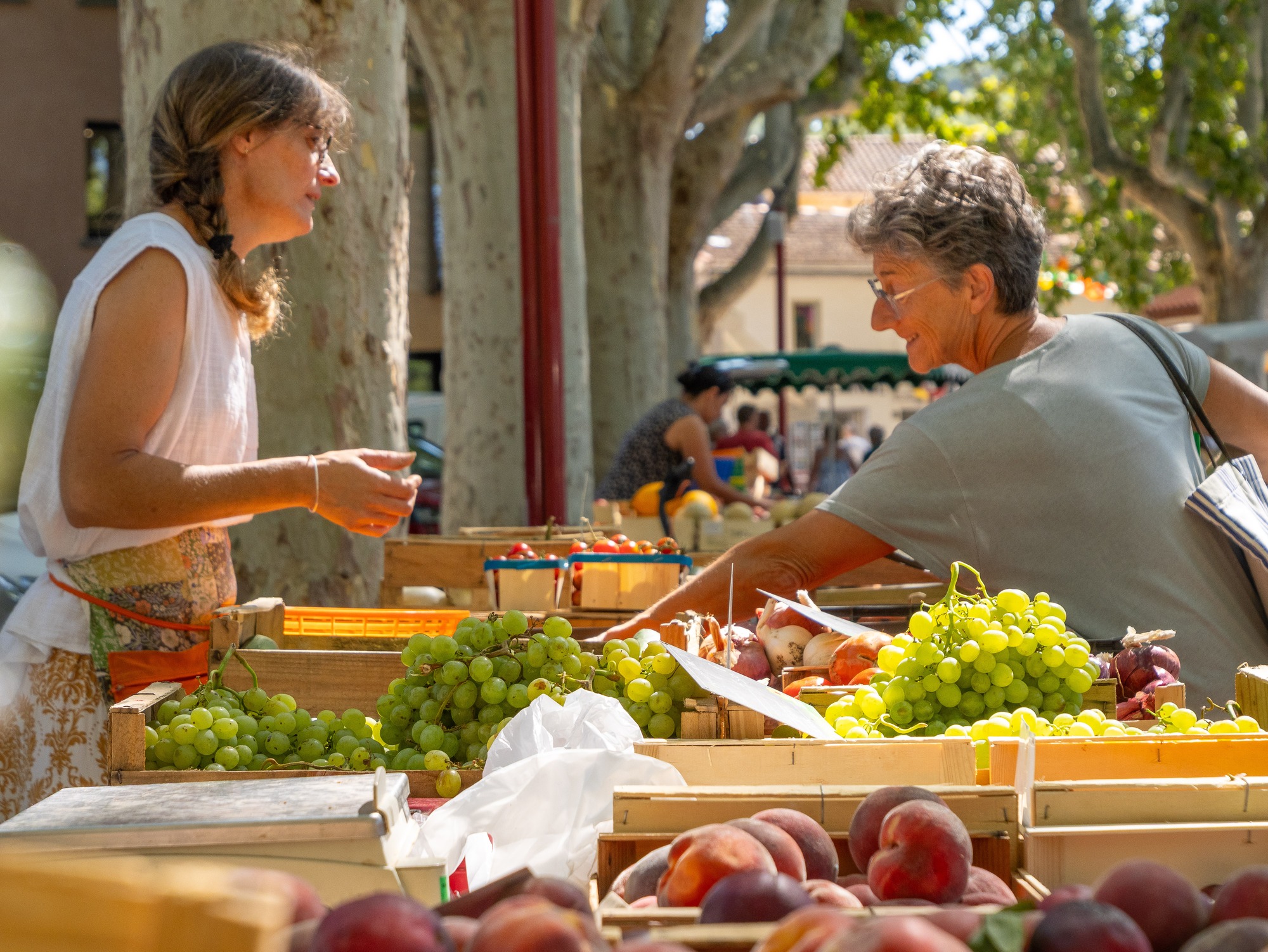 Marché des producteurs_Saint-Cyr-sur-Mer