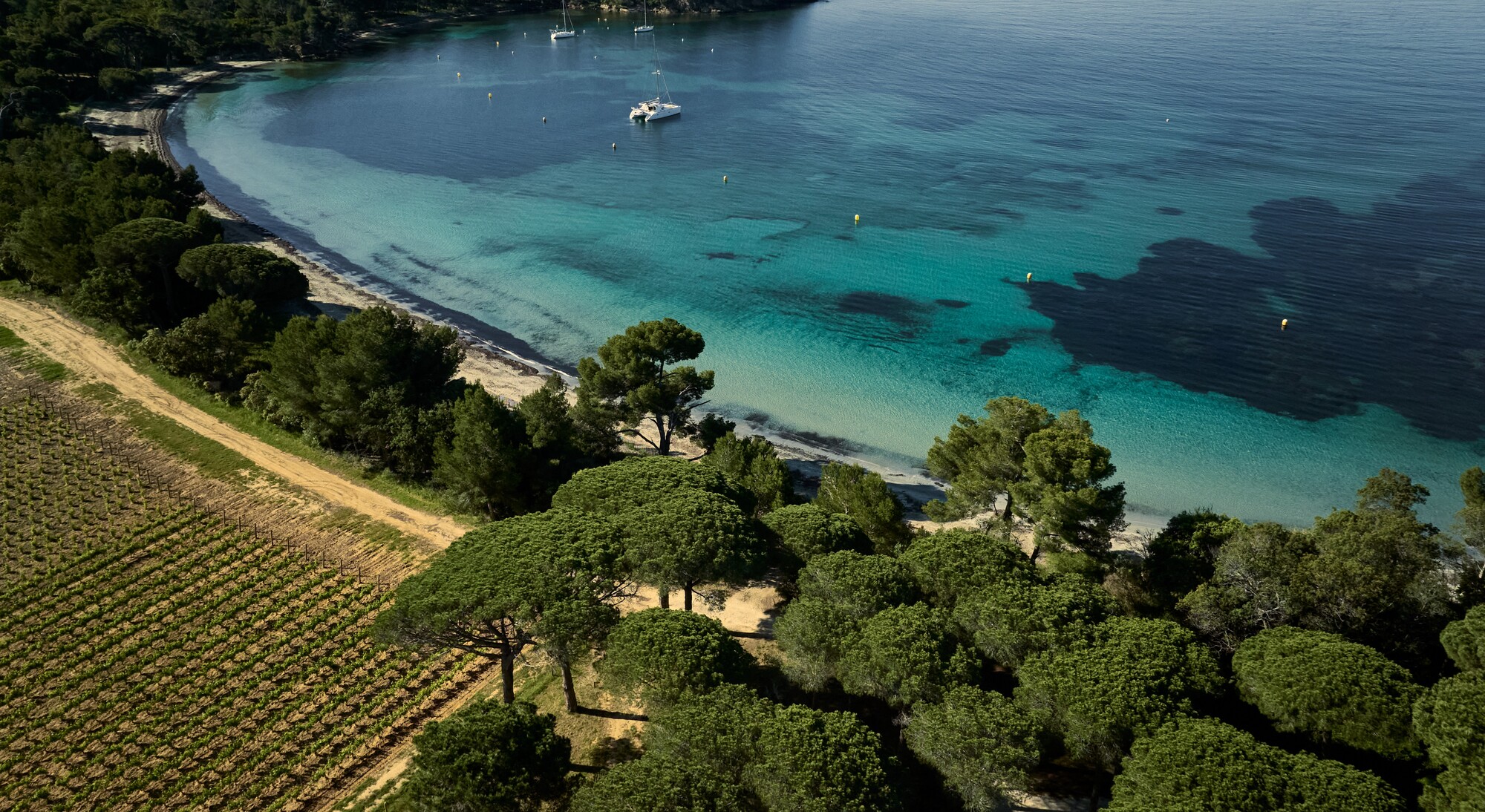 Château Léoube_Bormes-les-Mimosas