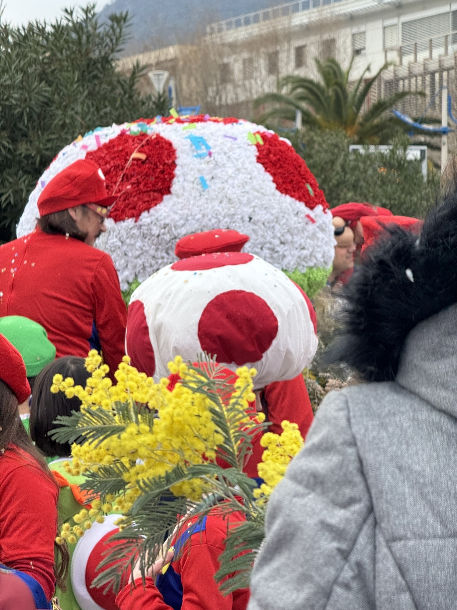 Corso du Mimosa_Cavalaire-sur-Mer