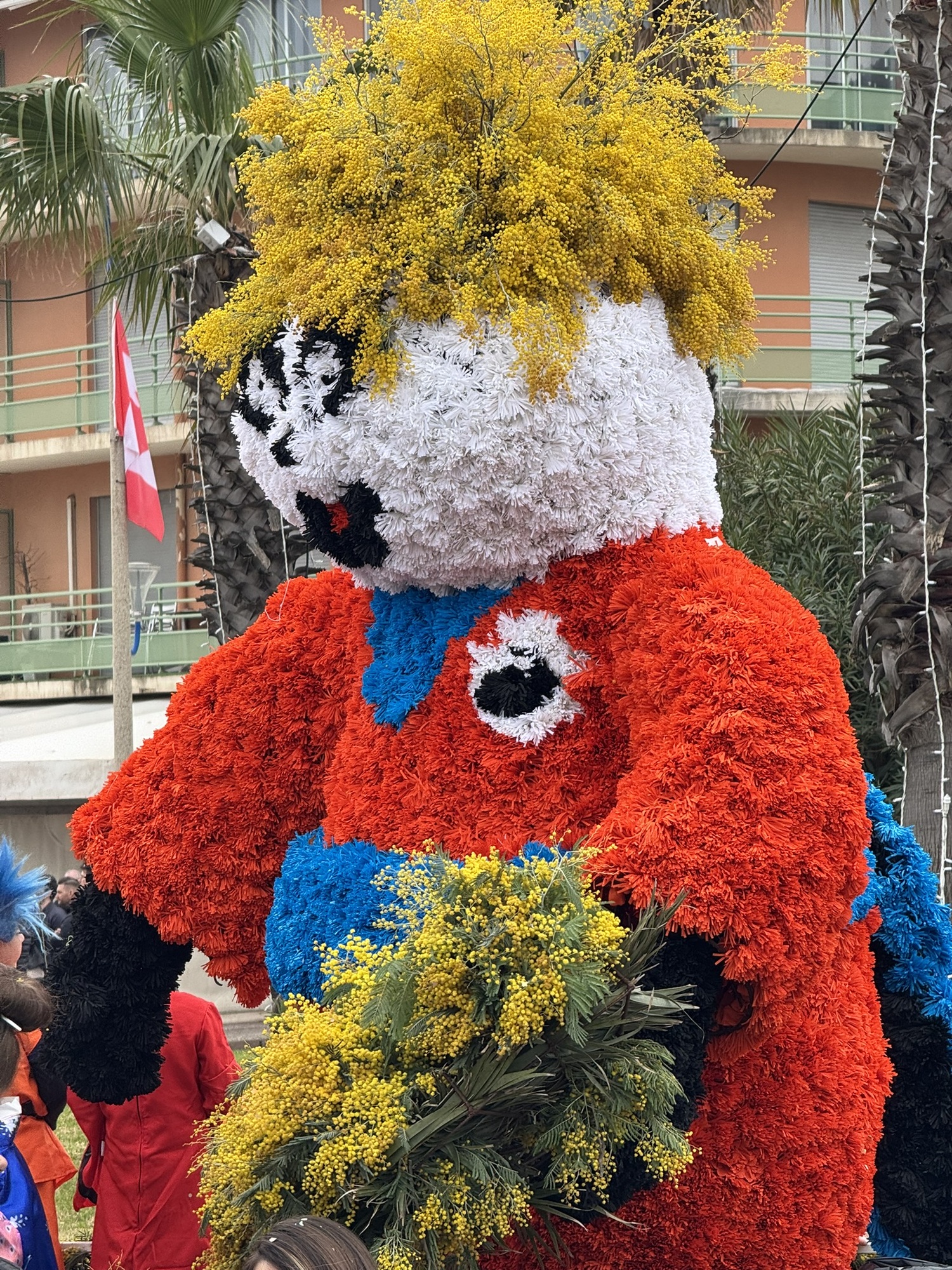 Corso du Mimosa_Cavalaire-sur-Mer