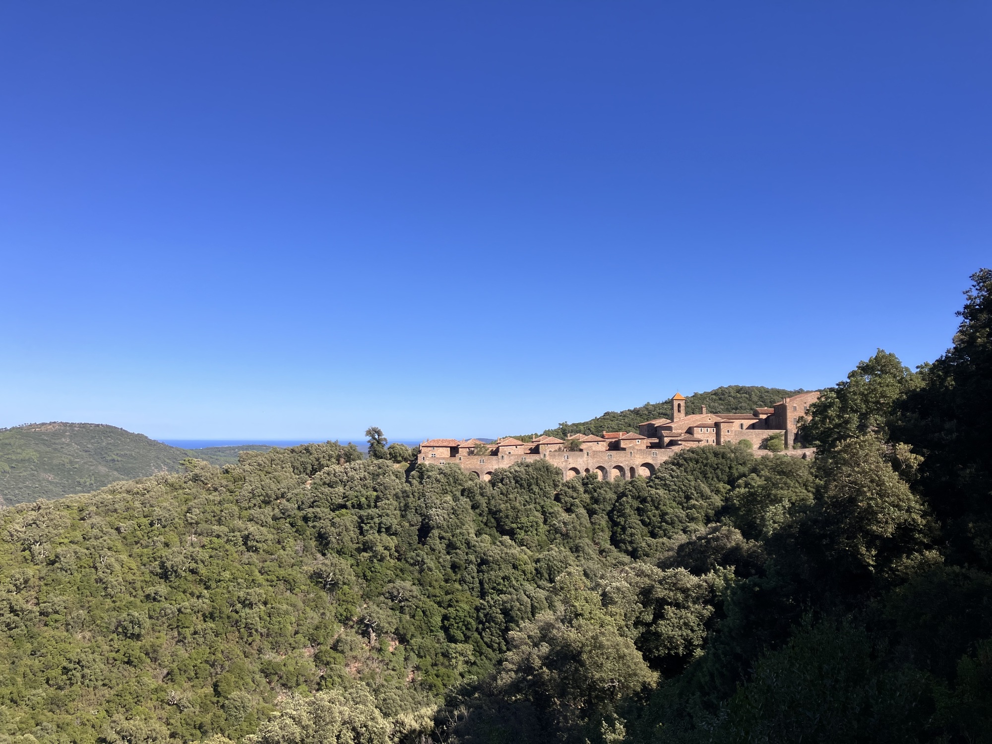 Chartreuse de la Verne_Collobrières