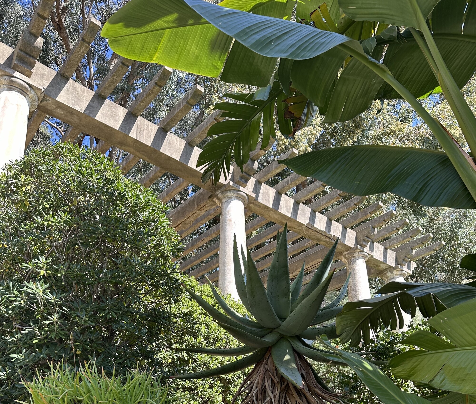 Domaine du Rayol, Le Jardin des Méditerranées_Rayol-Canadel Sur Mer