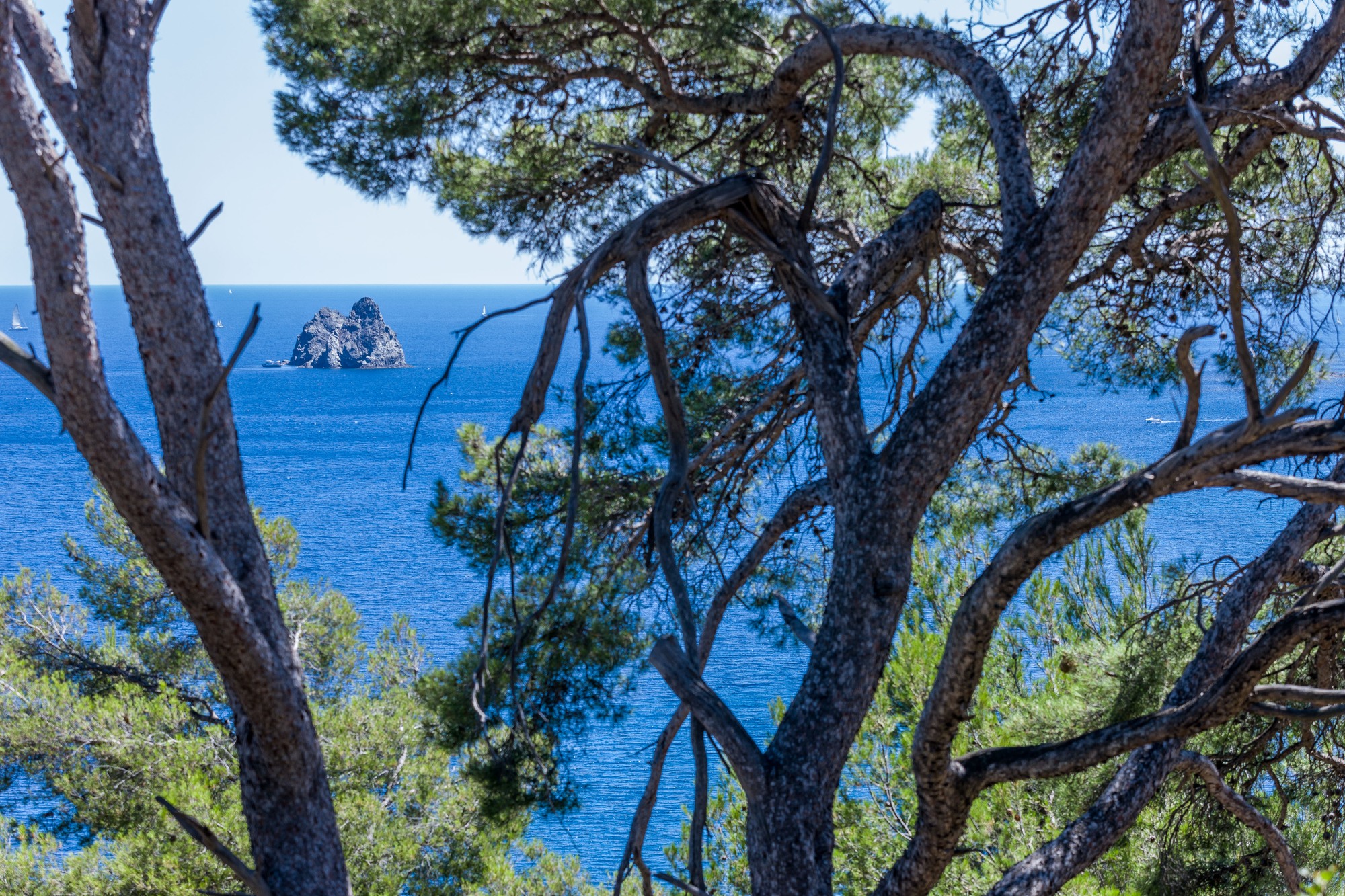 Vue depuis le massif du Cap Sicié