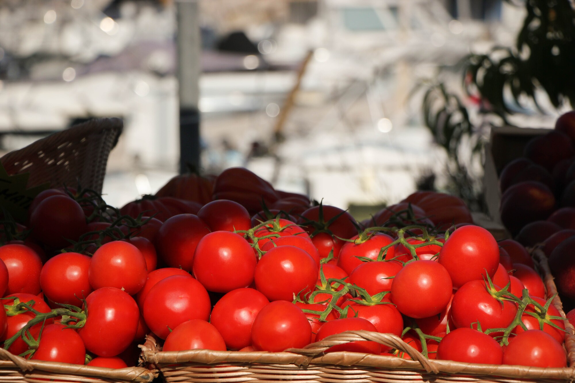 Marché estival du port de la Madrague