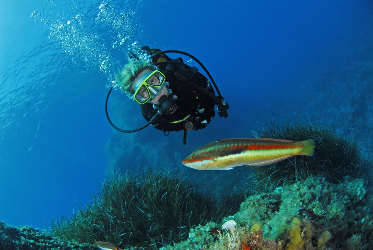 Le sec des carrières à Porquerolles