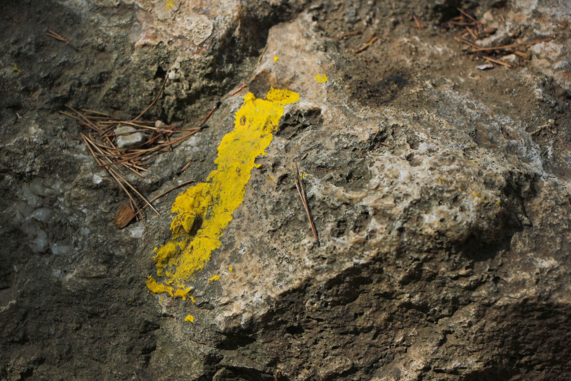 Le sentier du littoral