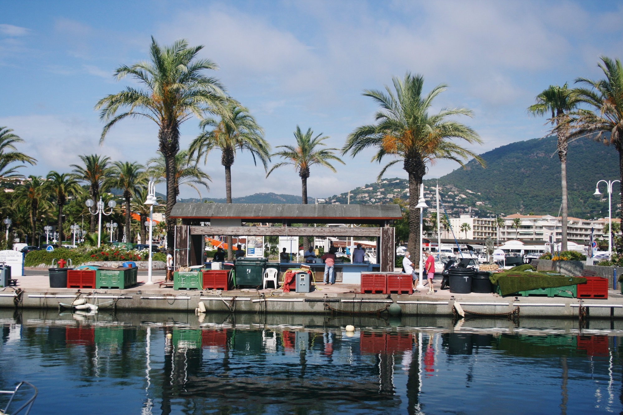 La Criée Cavalaire