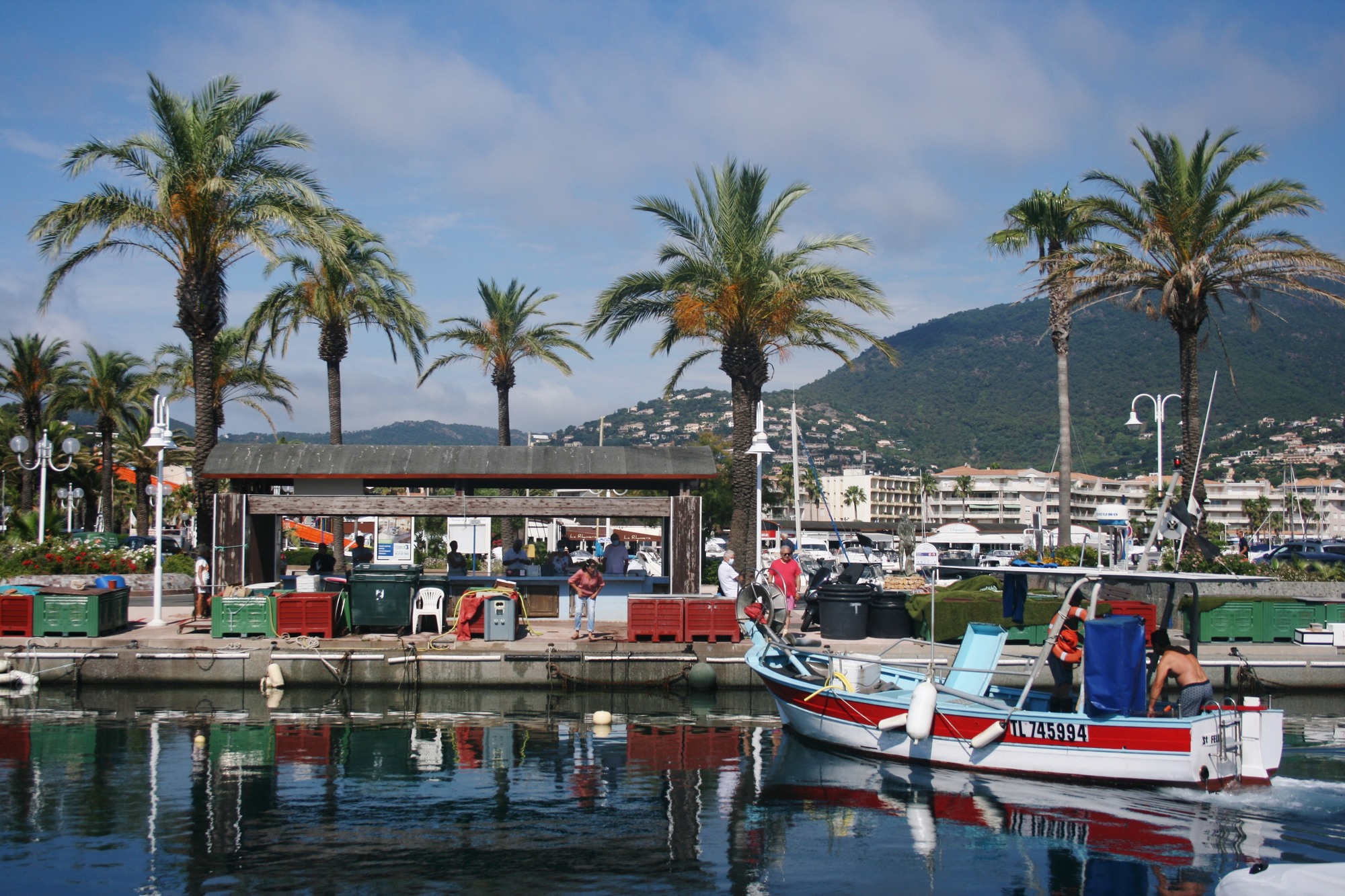 La Criée Cavalaire