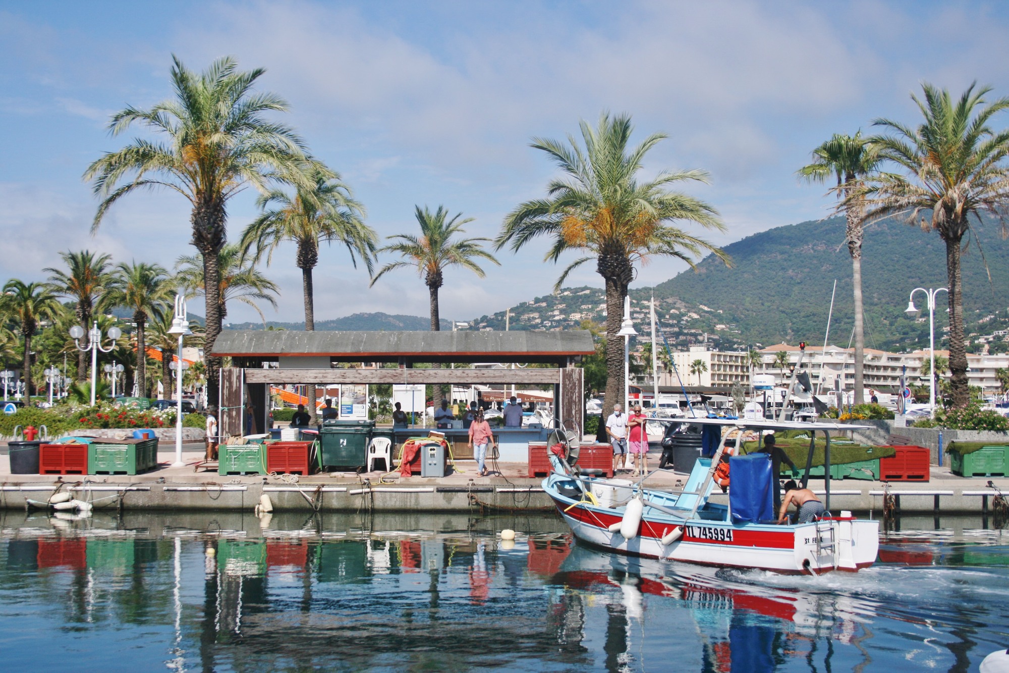 La Criée Cavalaire