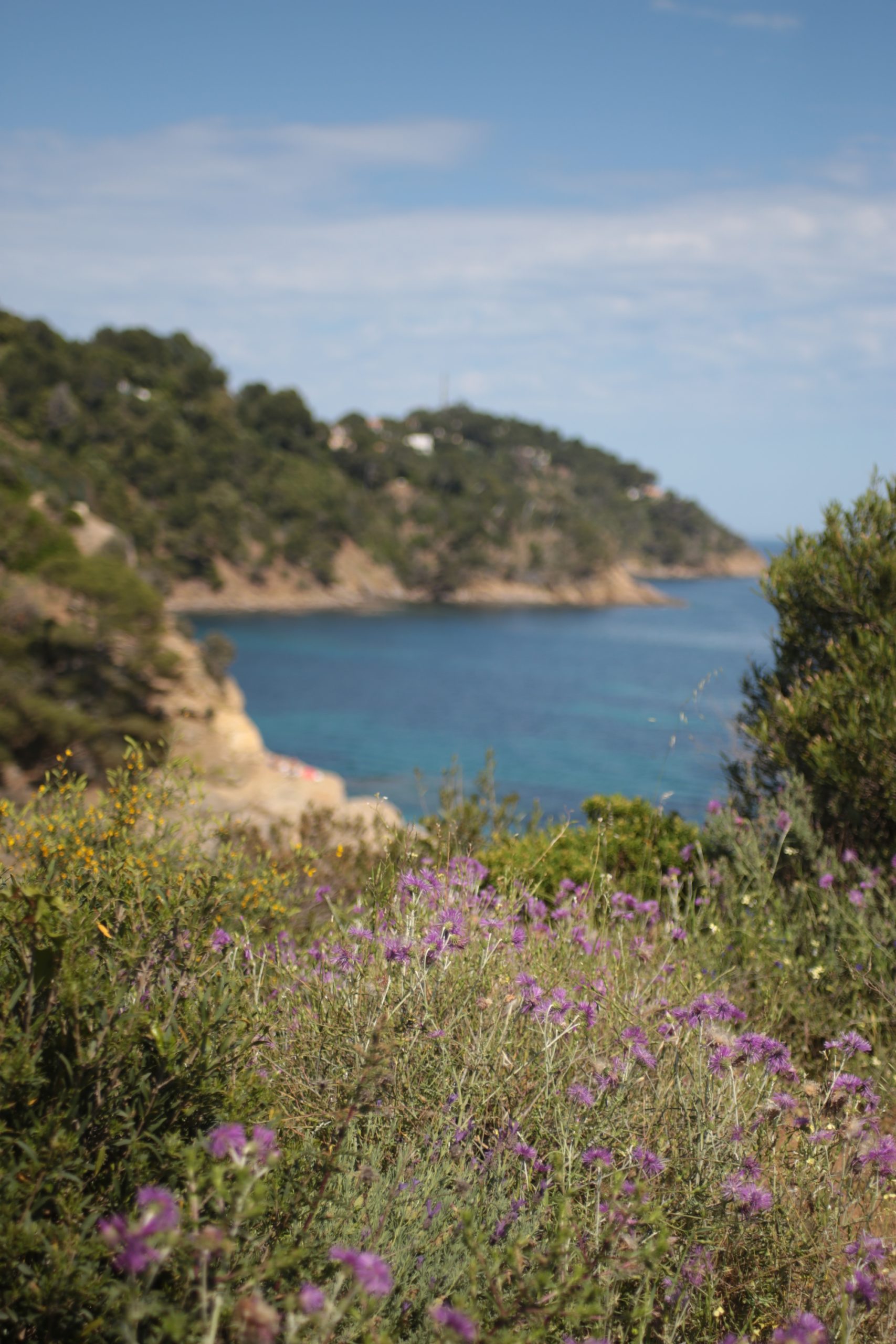 Plage de Bonporteau/Cavalaire