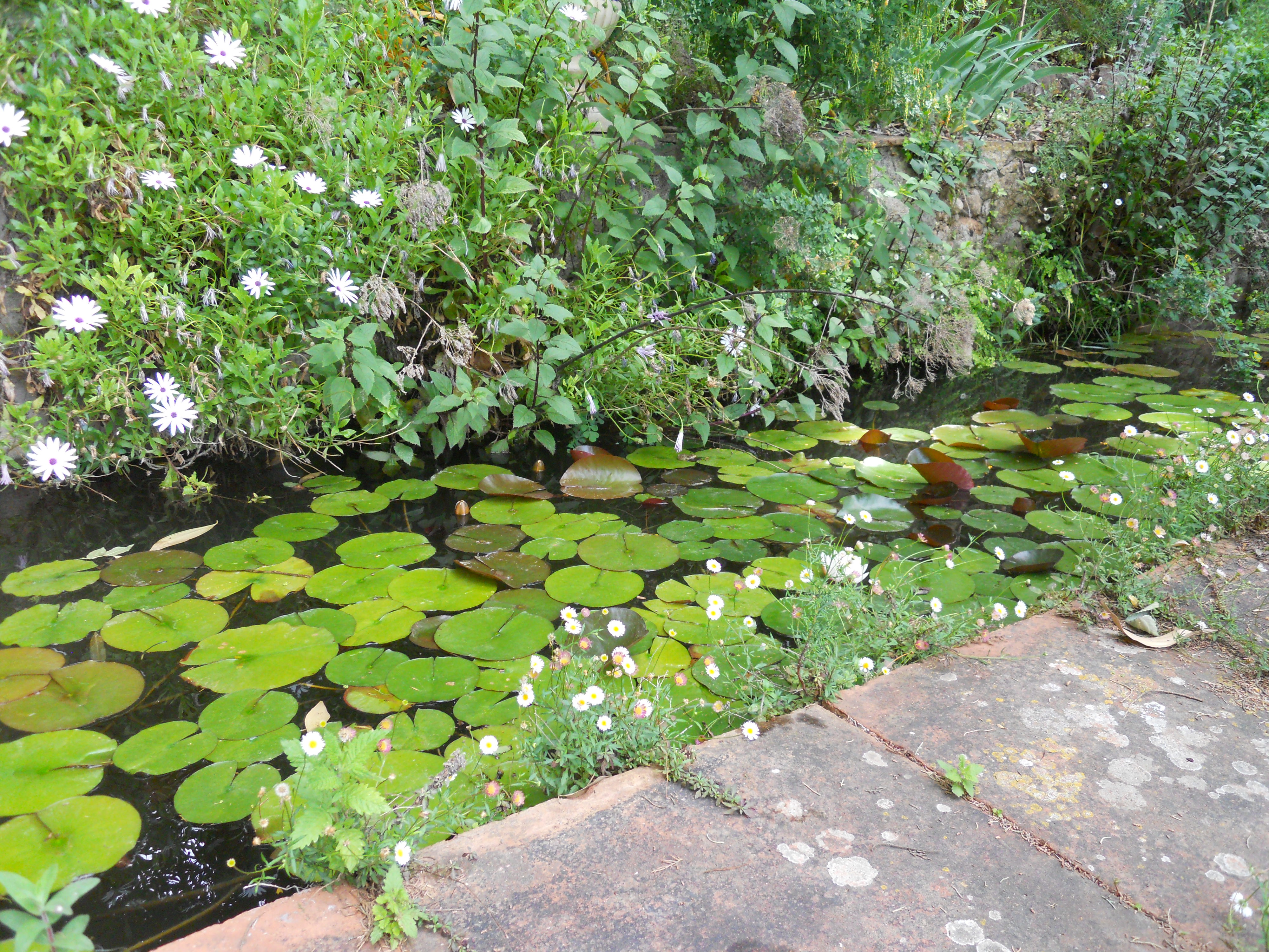 Mare, Domaine d'Orvès / Pond, Domaine d'Orvès ©Domaine d'Orvès