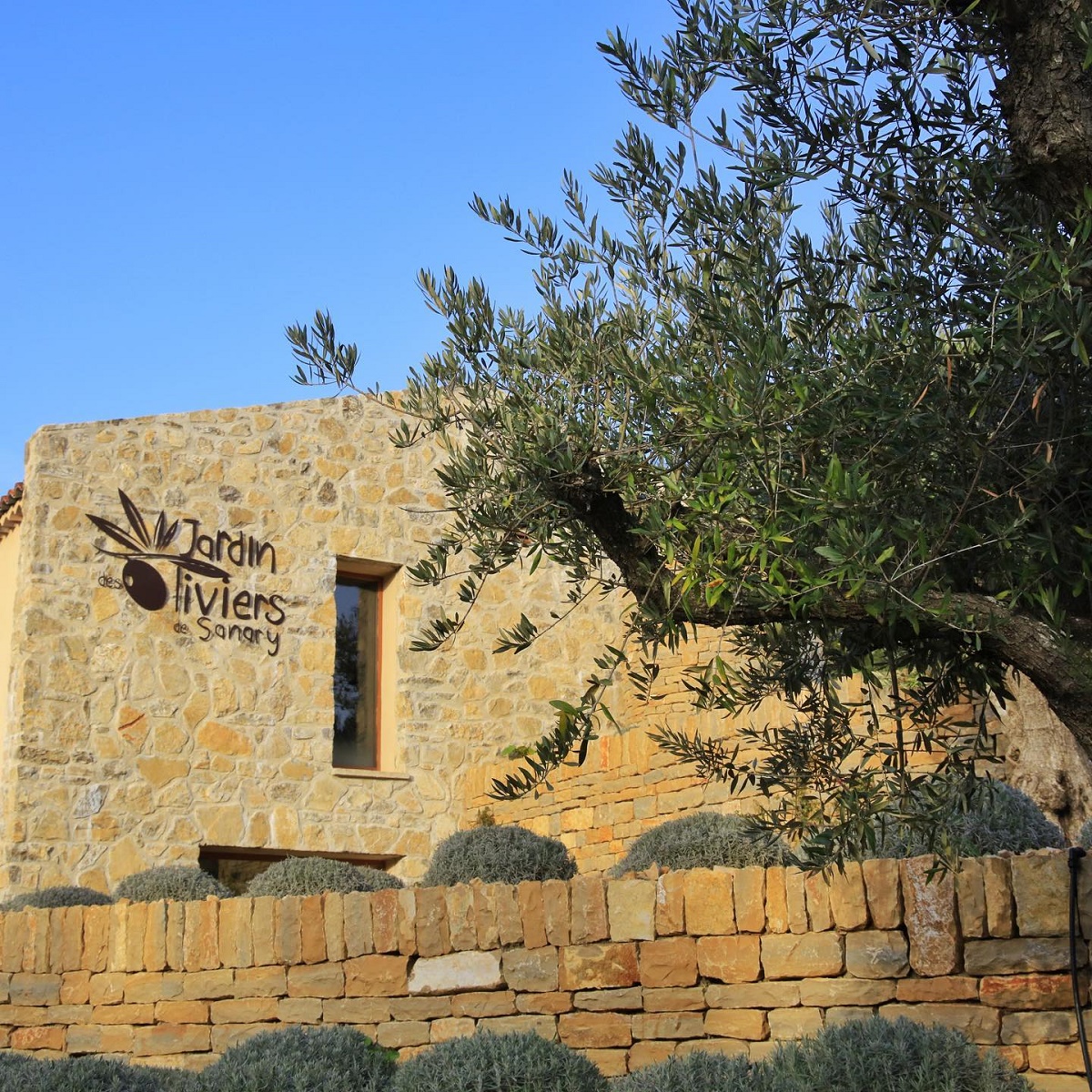 Garden of Olives 1