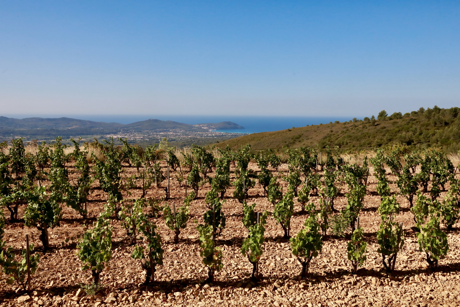 Domaine de La Bégude