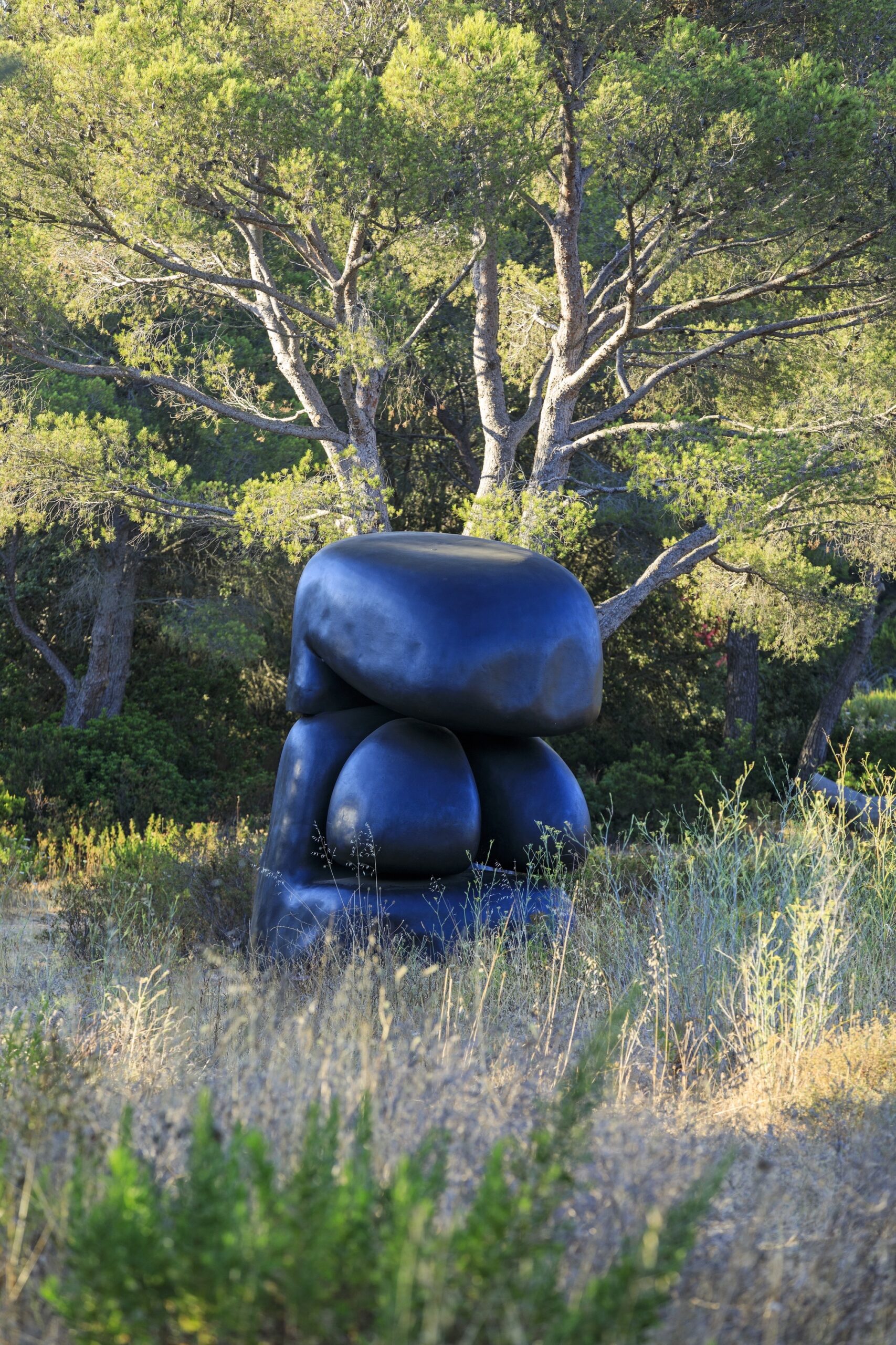 Villa Carmignac museum of contemporary art_Hyères