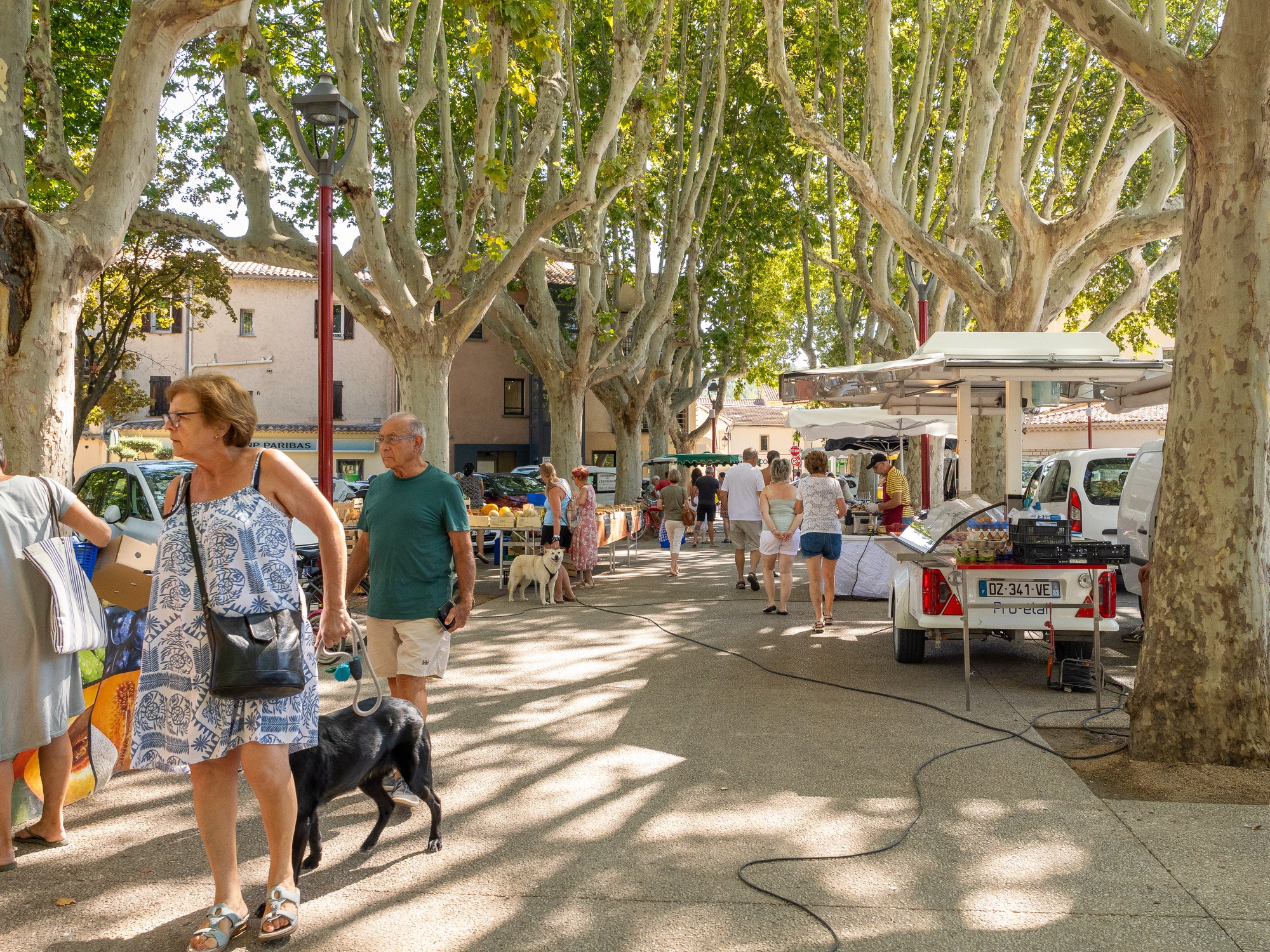 Farmers market_Saint-Cyr-sur-Mer