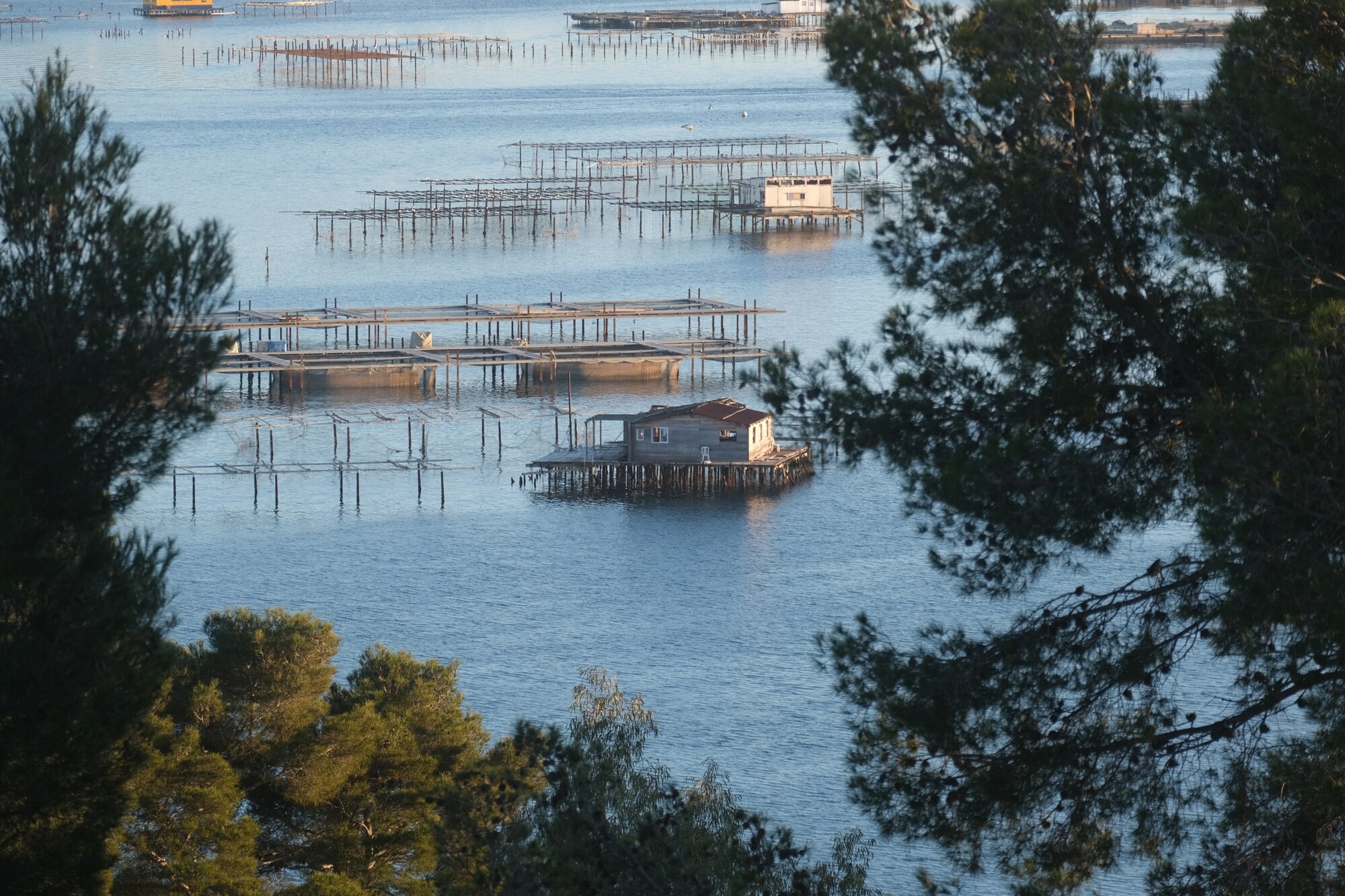LA BAIE DU LAZARET_La Seyne-sur-Mer