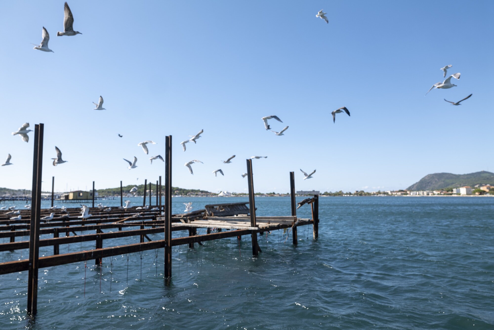 LA BAIE DU LAZARET_La Seyne-sur-Mer