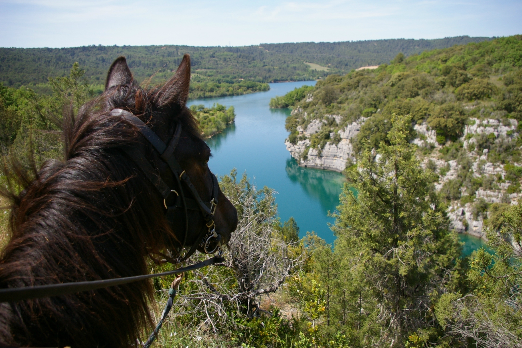 On horseback with Les Chevaux du Verdon