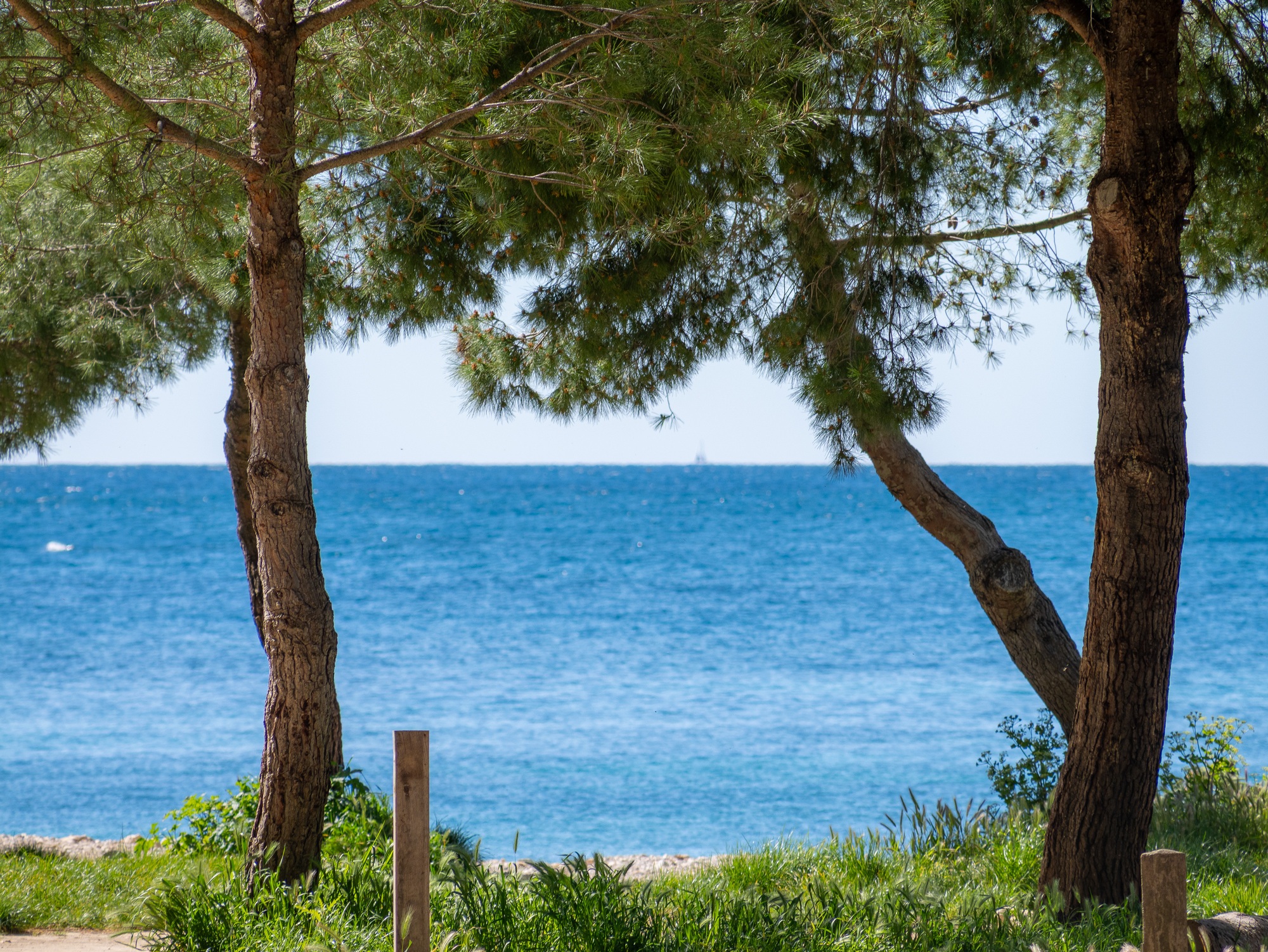 Calanque of Port d’Alon_Saint-Cyr-sur-Mer
