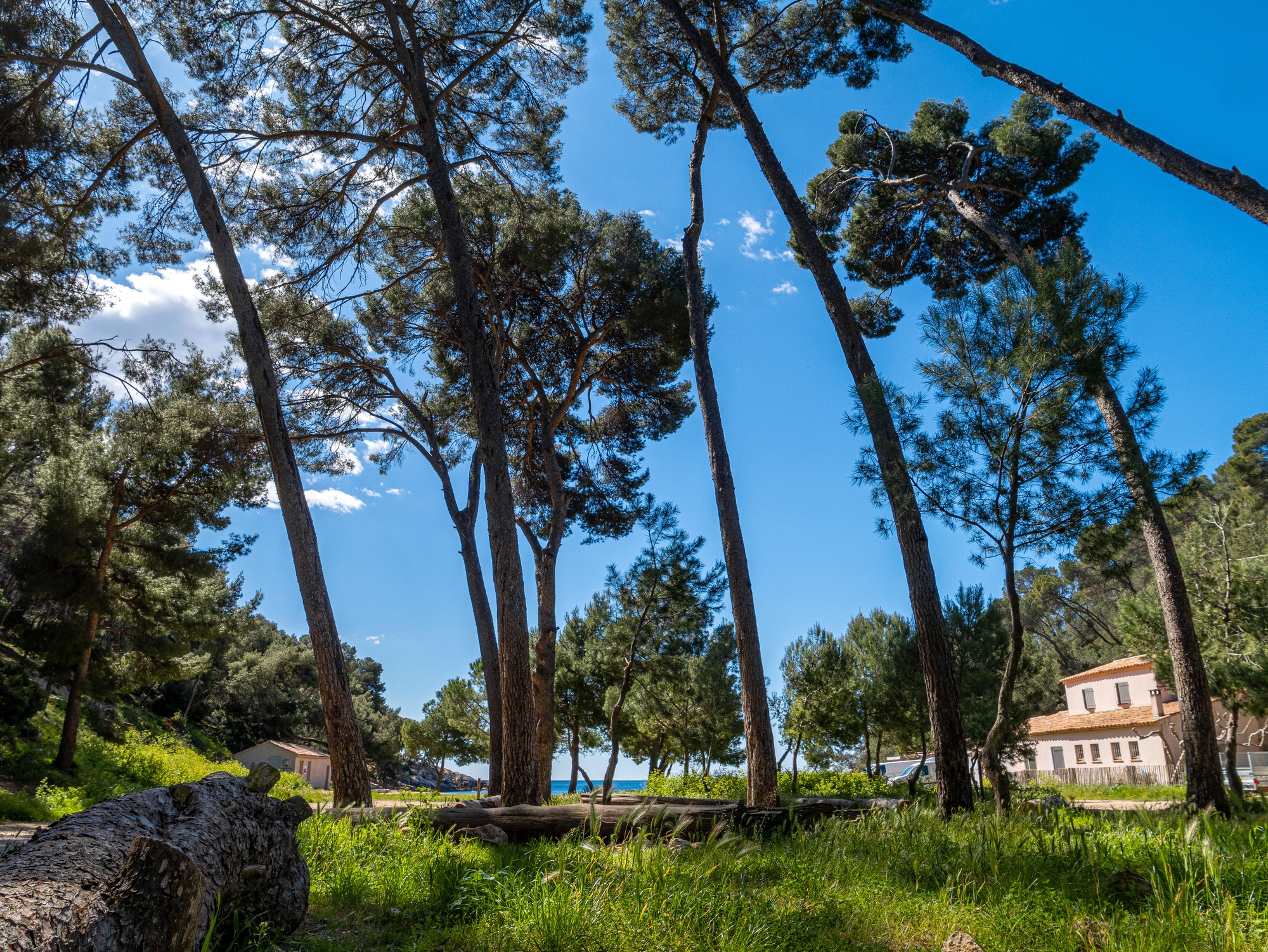 Calanque of Port d’Alon_Saint-Cyr-sur-Mer