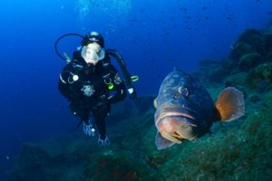 Giens diving cave