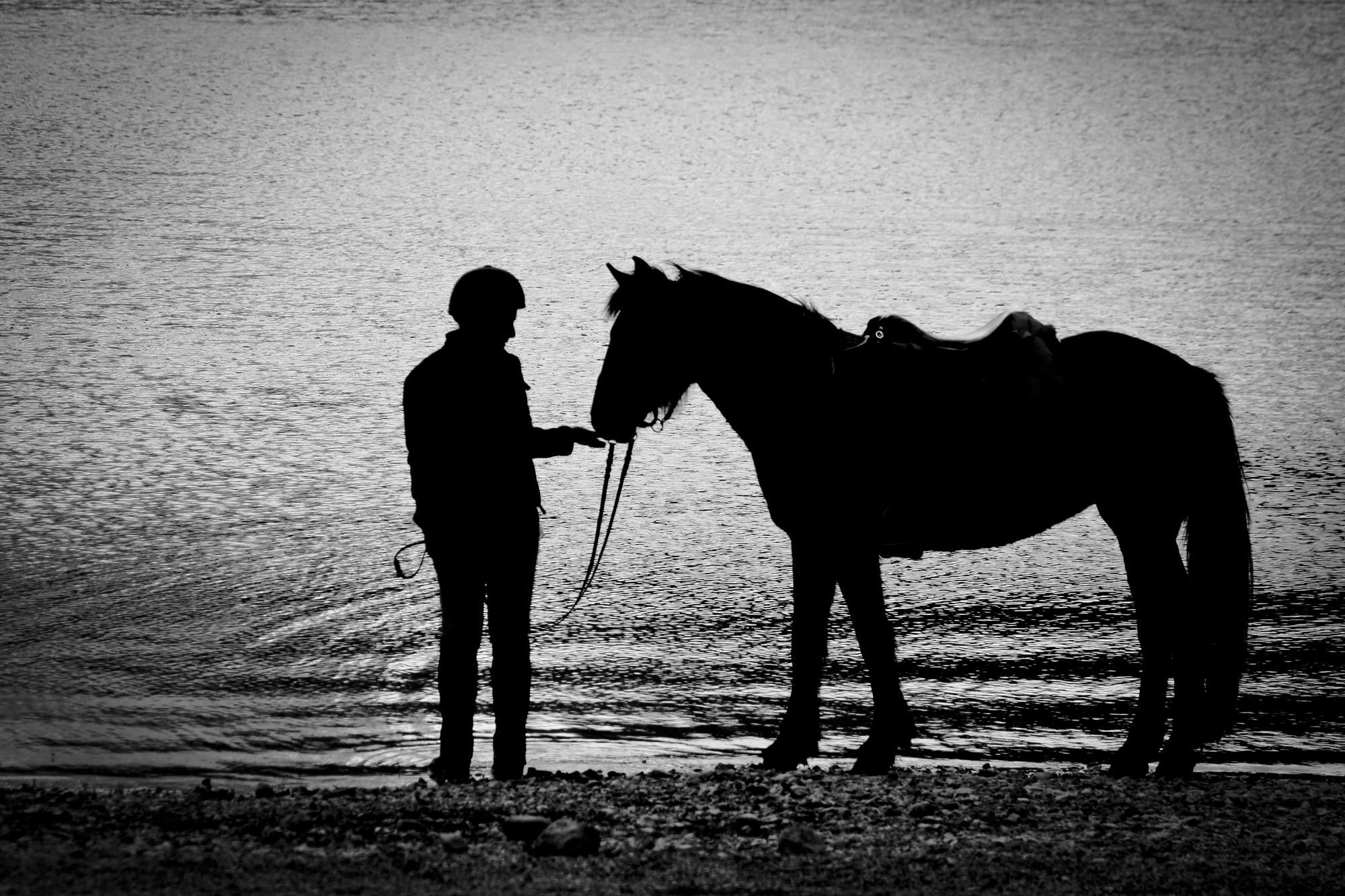 On horseback with the Horses of the Verdon