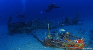 mustang P51 wreck